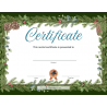 Winter Recital Award Certificates