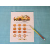Pumpkin Patch Rhythm: elementary level worksheet (PDF Download)